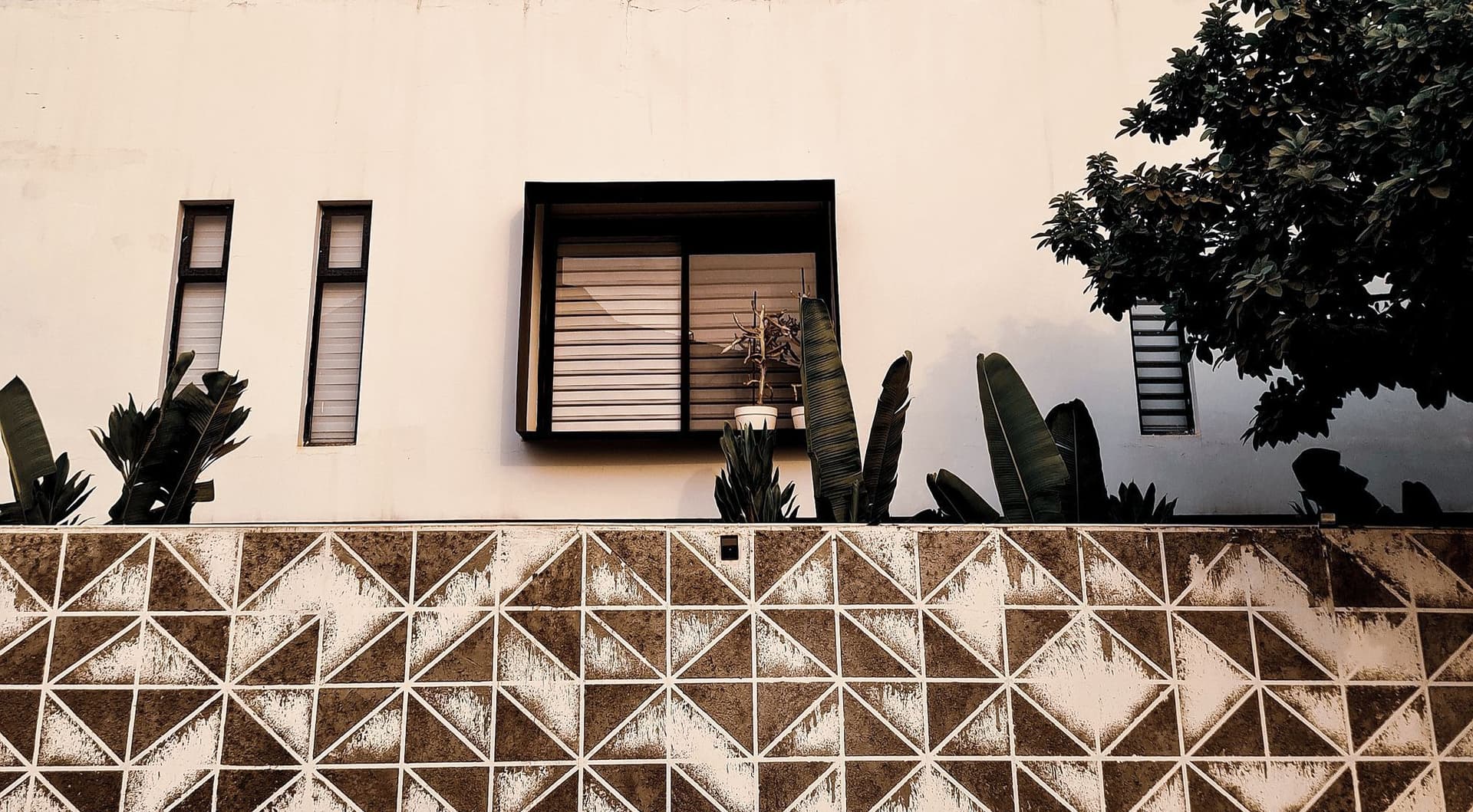 Modern architecture with organic life