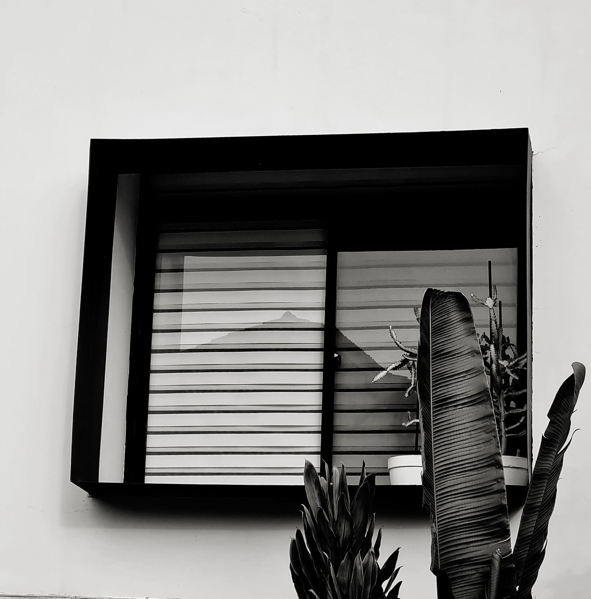 Black and white window study