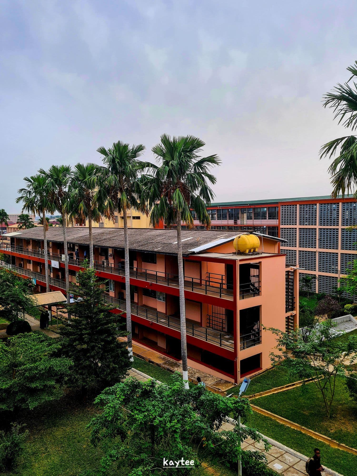 Multistory building with palm trees