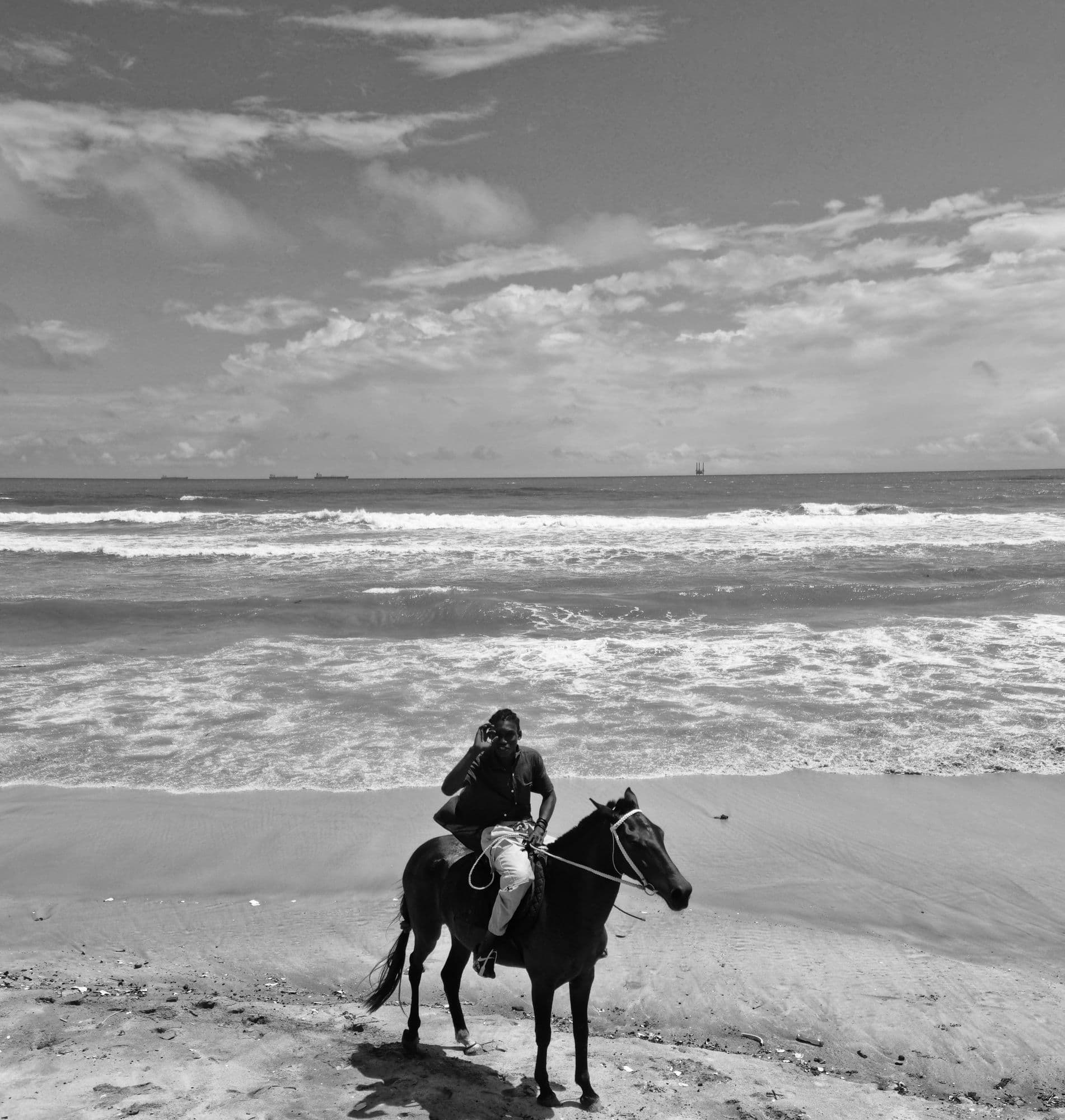 Horse on the coastal shore