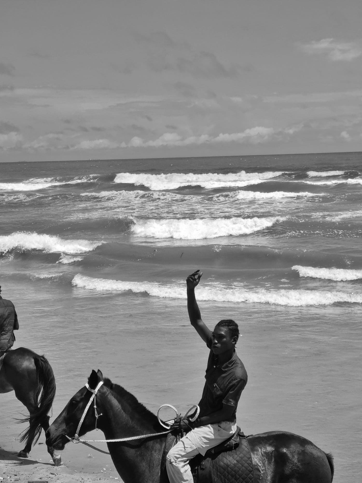Horse in motion by the sea