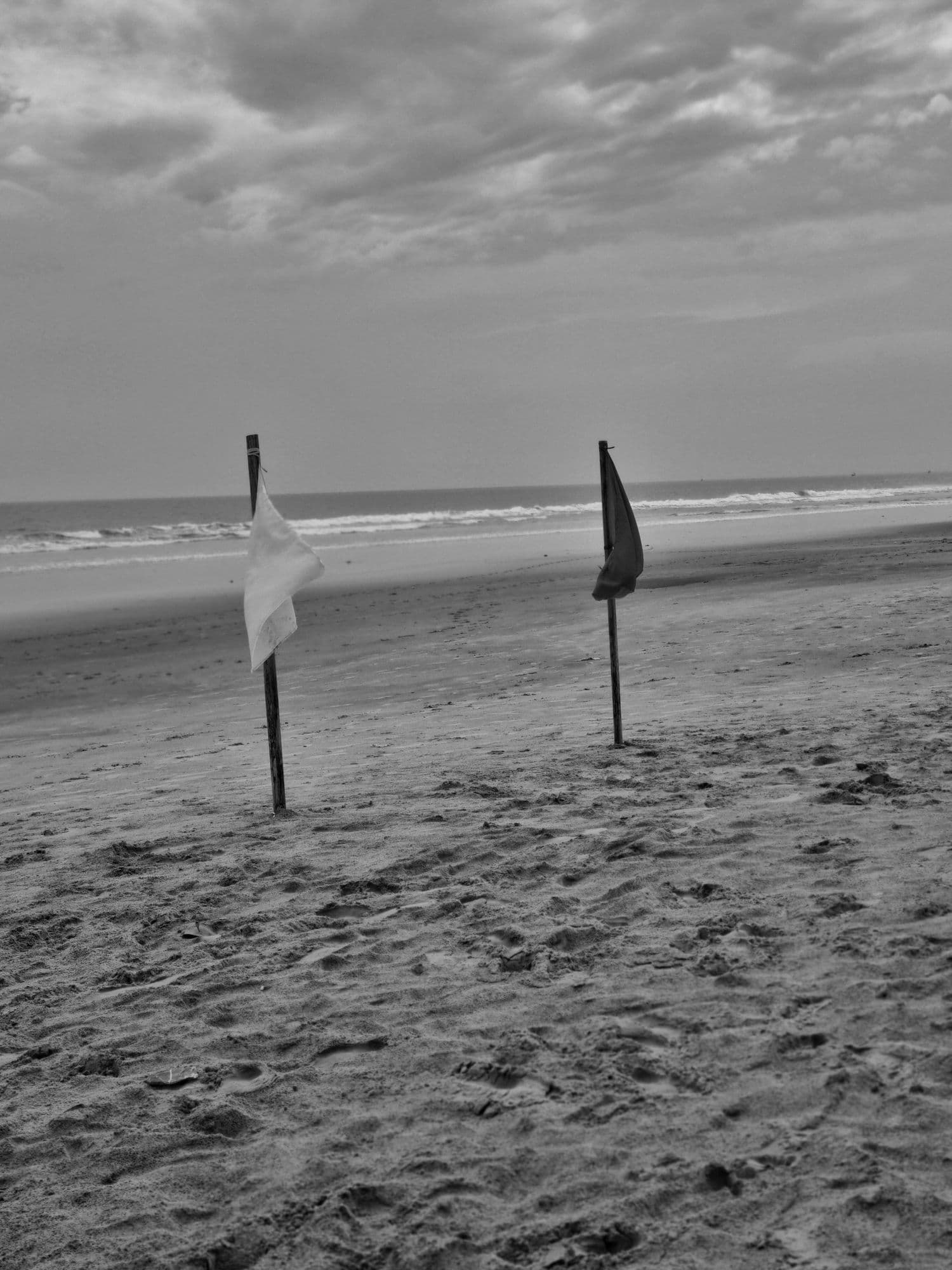 Beach flags against a vast horizon