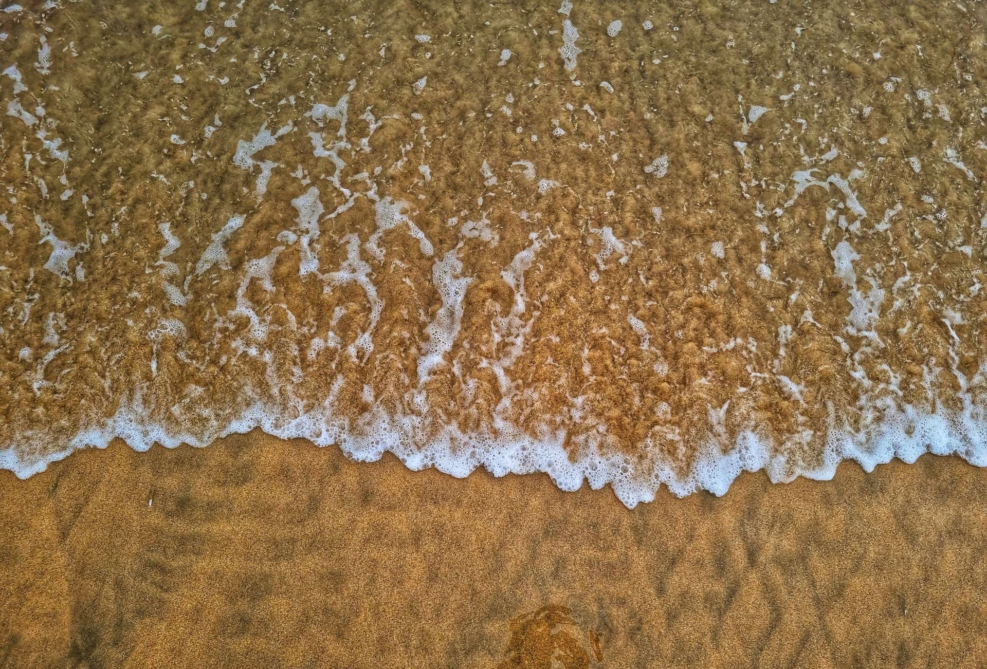 Detail of sea foam on sand