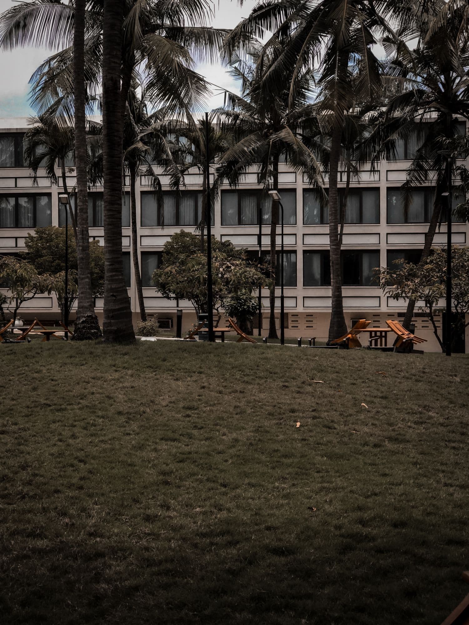 Modern architecture with palm tree silhouettes